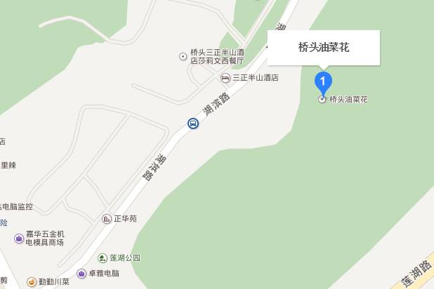 莲湖区人口_西安莲湖区地图(2)