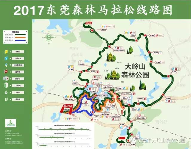 大岭山森林公园春节游园指南