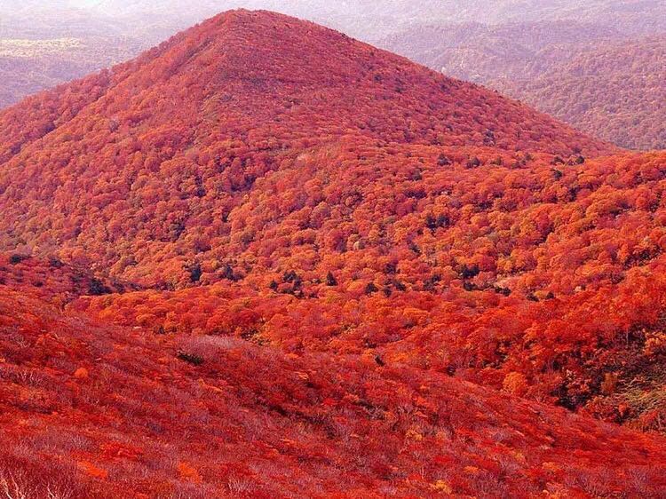 香山是中国名山之一,是最著名的红叶观赏区