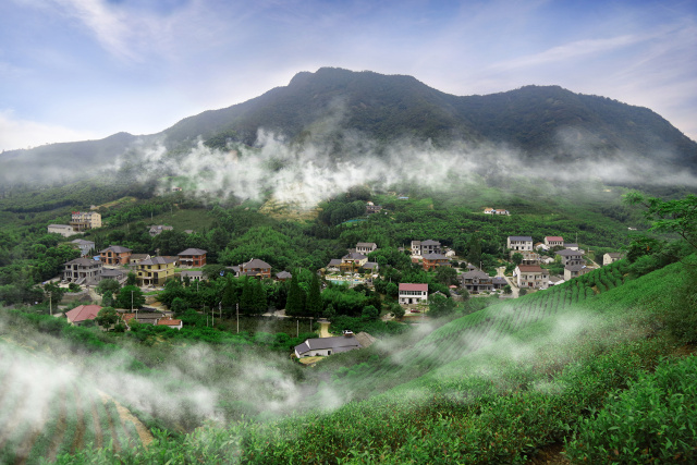 旅游 正文 莫干山,距离杭州60公里,上海200公里.