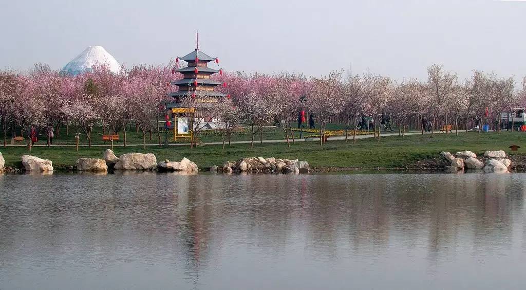 青白江凤凰湖湿地公园一期占地800亩,具有300亩的 主题生态湖泊,水面
