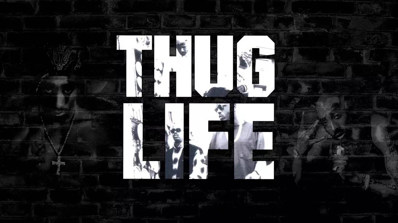 保持thug life,迎接全新的工作日!