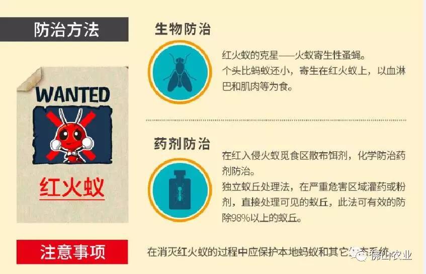 不少人都会到郊外踏青,要特别注意远离红火蚁等昆虫的活动区,注意安全