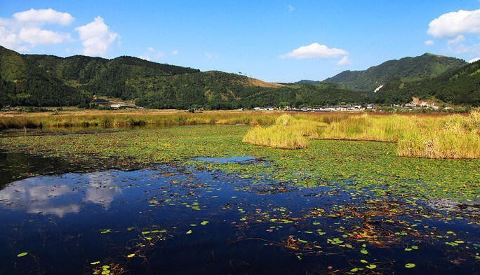 红河县多少人口_红河县地图(2)