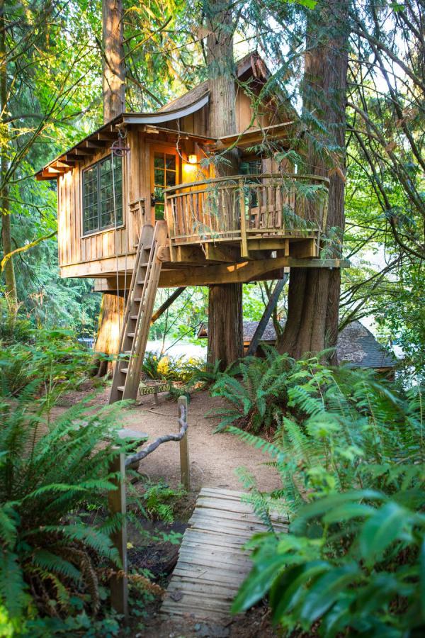 距离西雅图约35公里路程的 treehouse point,在森林里打造了各式各样