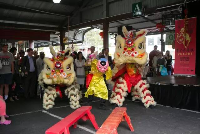 没来维妈之前，我感到这几年我过了假年！