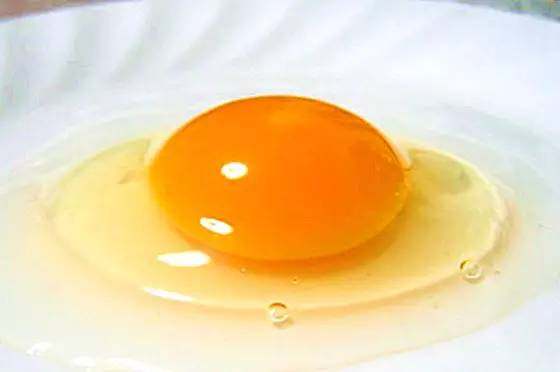 鸡蛋的内部构造 新鲜鸡蛋磕开后,可以清楚的看到分成三层.