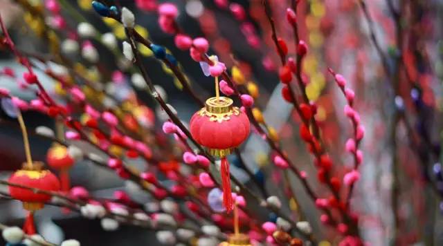 春节快乐丨爆竹声中一岁除,春风送暖入屠苏