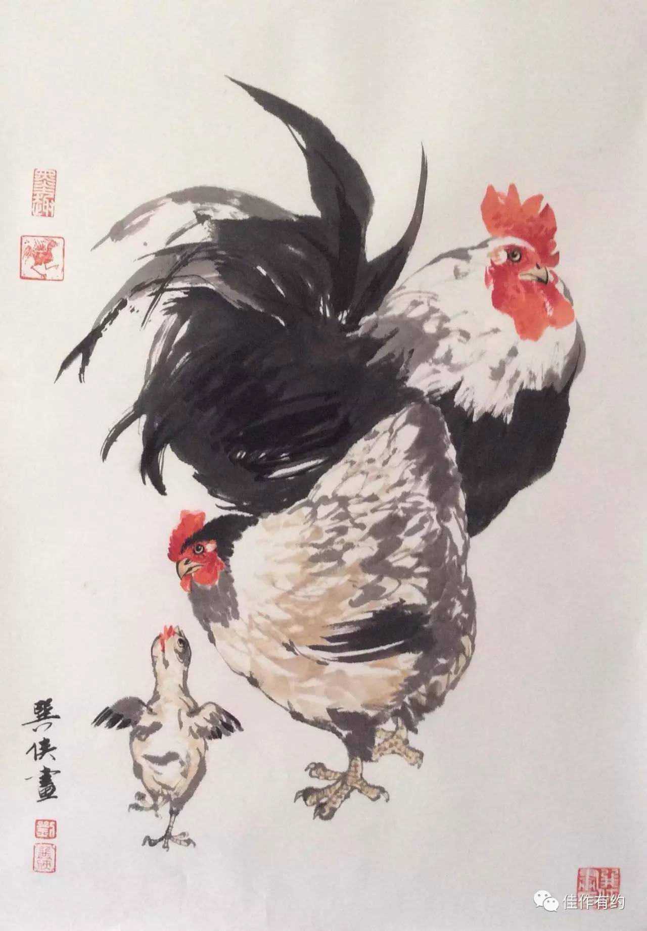 鸡年大吉,巽侠画鸡