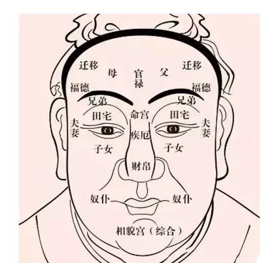 【面相识人】最全最实用的《面相学》基础总框架