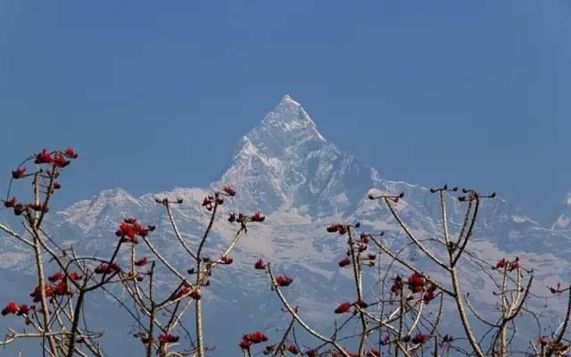 尼泊尔旅游天堂