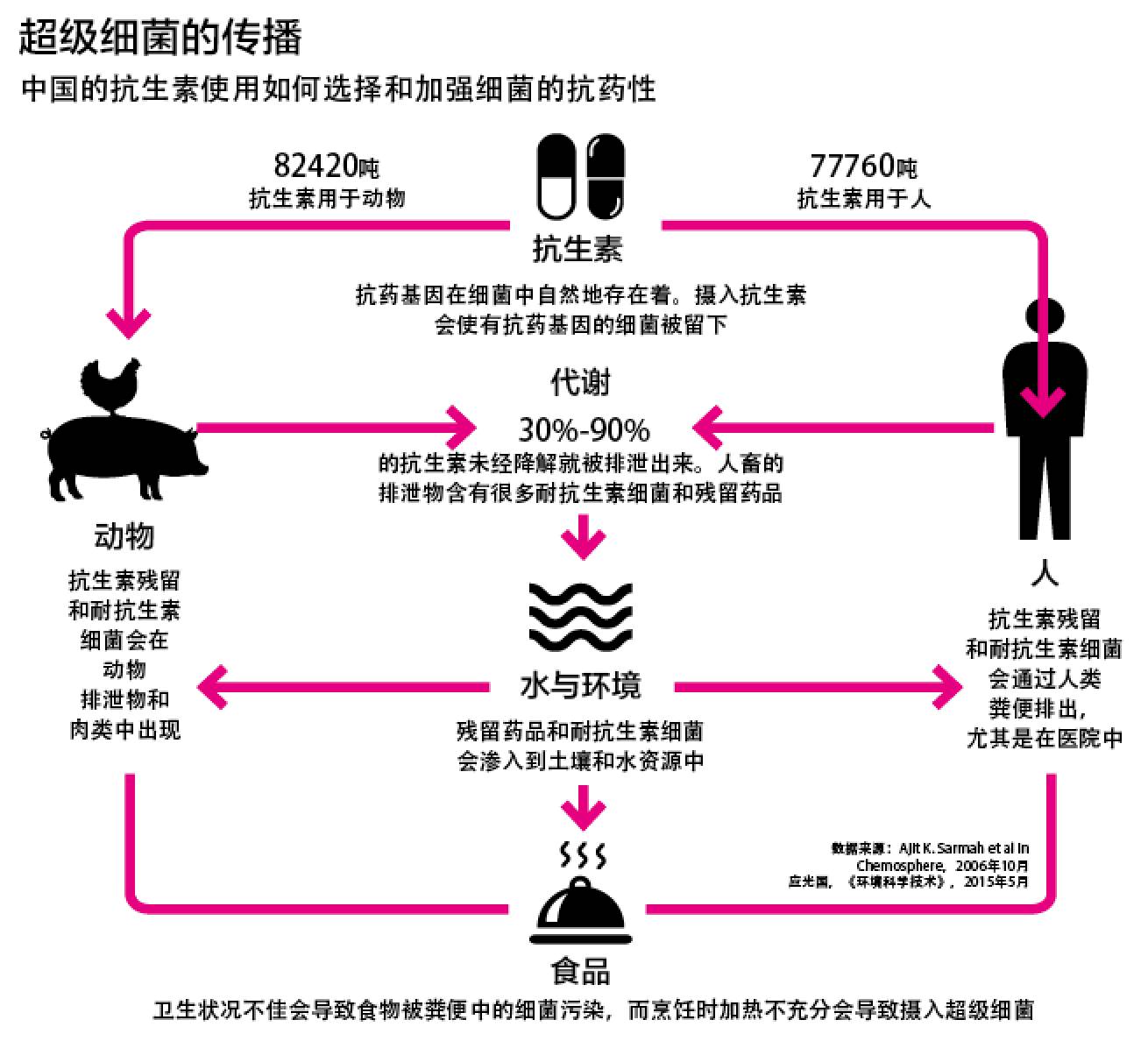 用抗生素!中国五星级猪圈成为超级细菌战争的