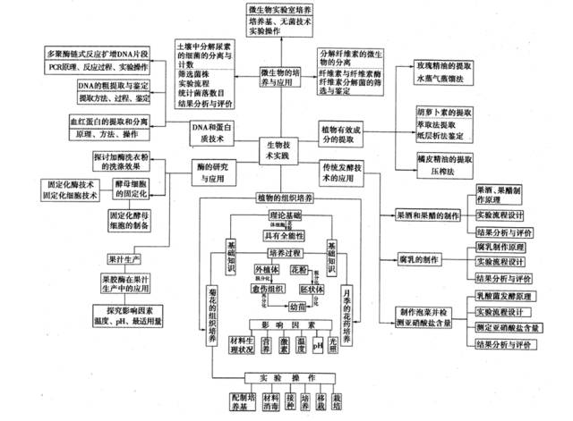 首页 中医养生 > 正文     从杂交育种到基因工程             动物和