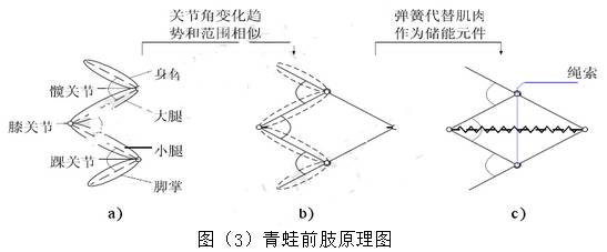 仿生机器人发展研究