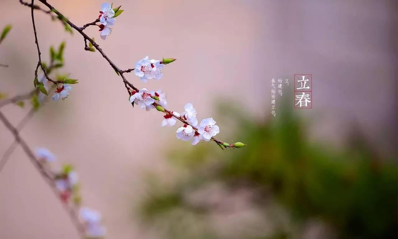 立春节气 立 春 至 立春为农历二十四节气中的第一个节气,又叫"打春"