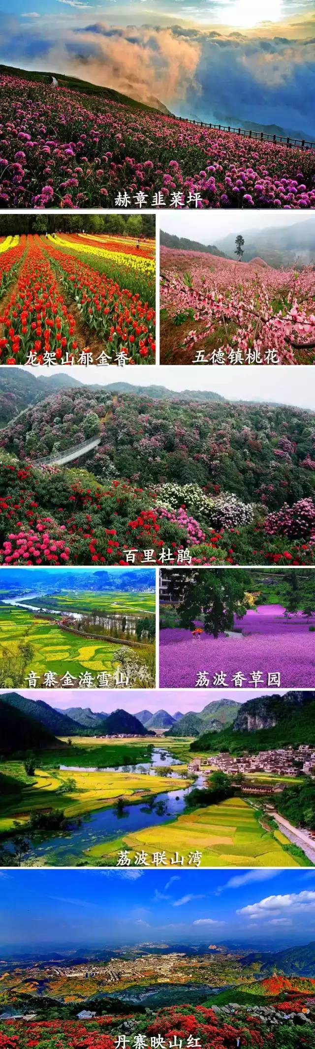 贵州赏花圣地