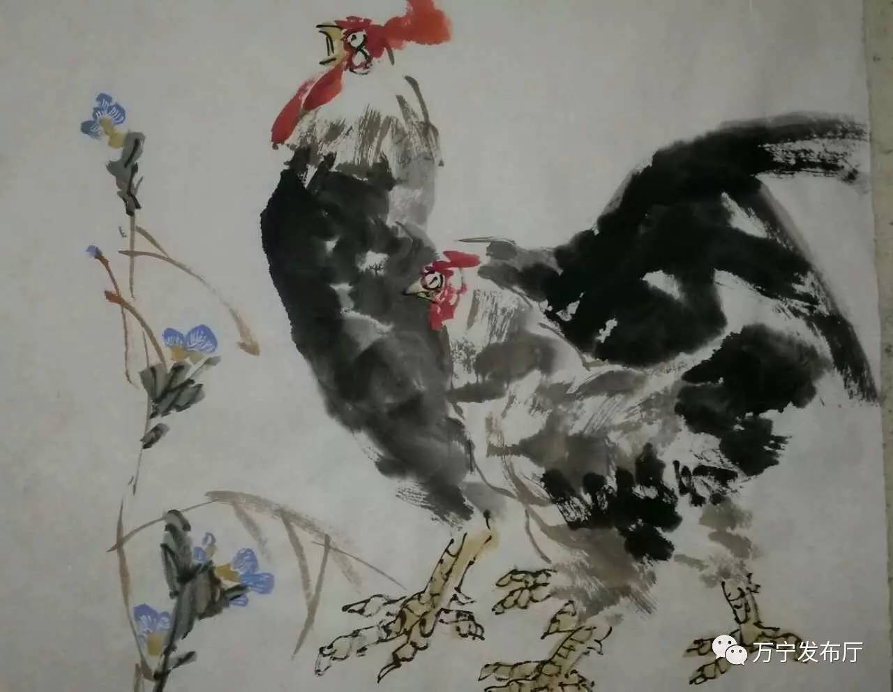 【鸡年说鸡】带你见识下万宁的名家画鸡作品