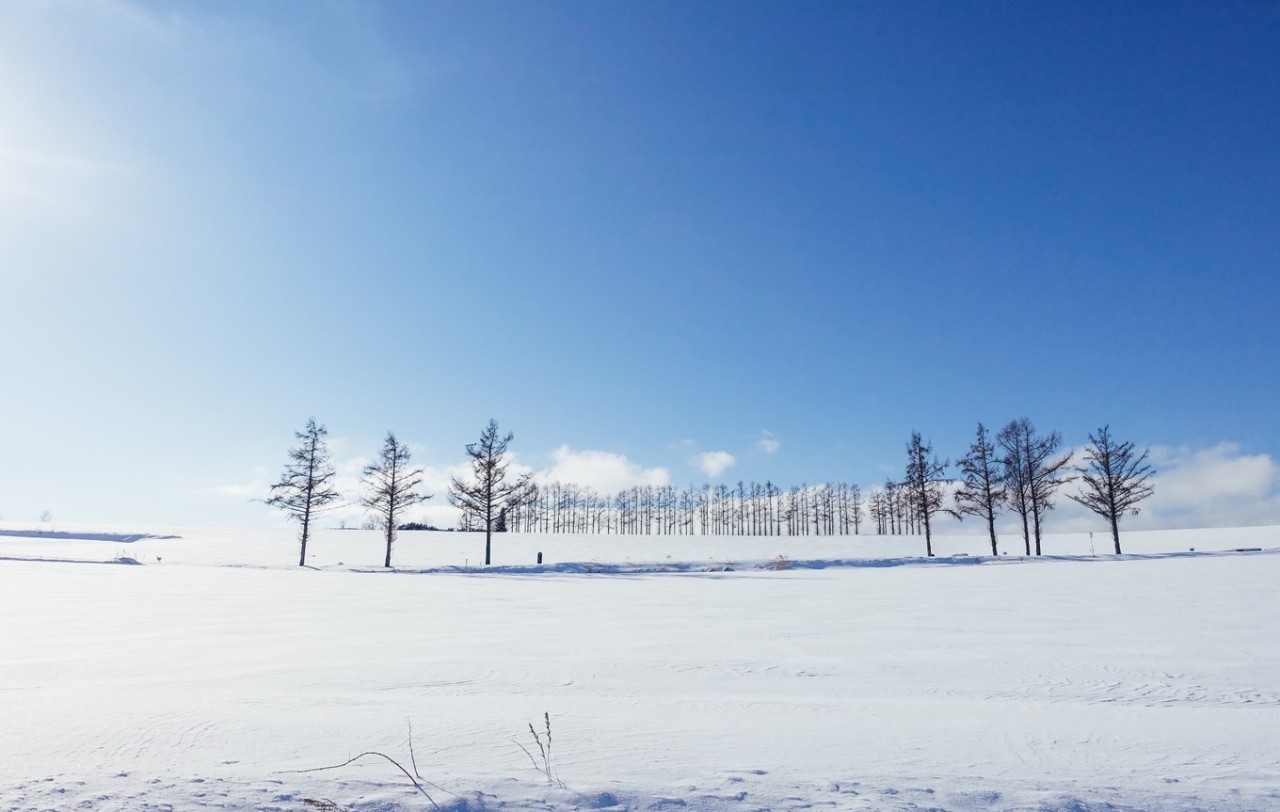 北海道的雪,承包了我对冬天的所有幻想;超多美图 吃逛攻略一并奉上