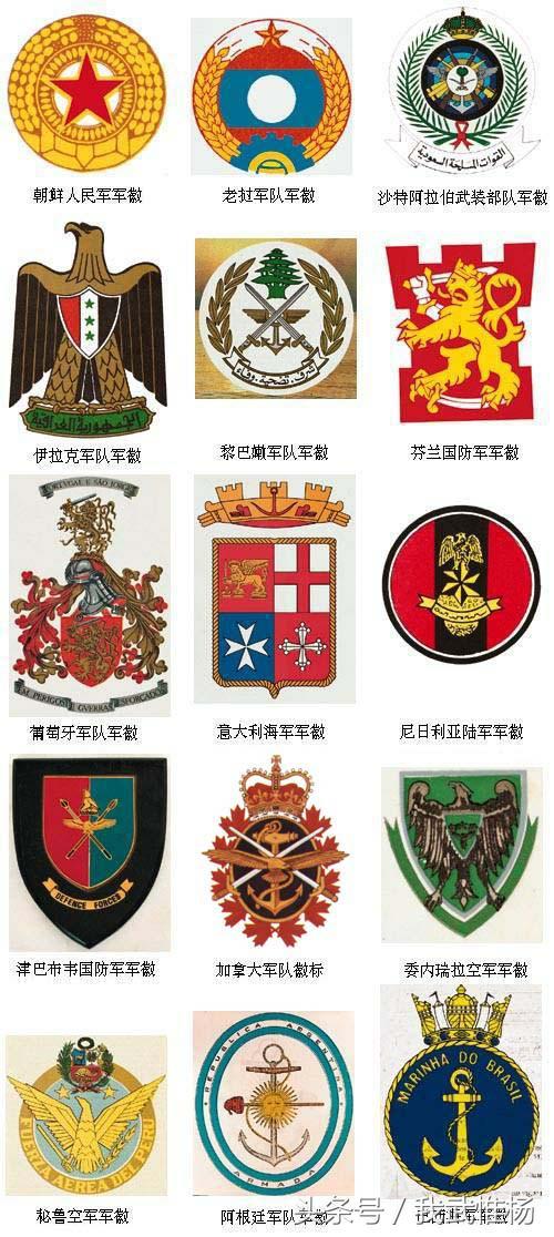 这些军事标志你都认识吗