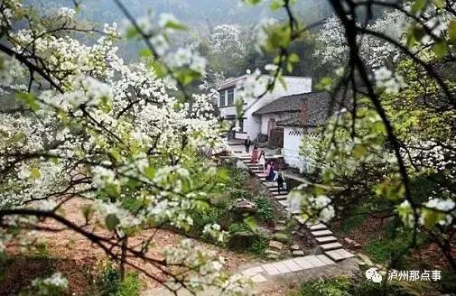 首页 中医养生 正文 梨花村背靠方山风景区,紧邻307