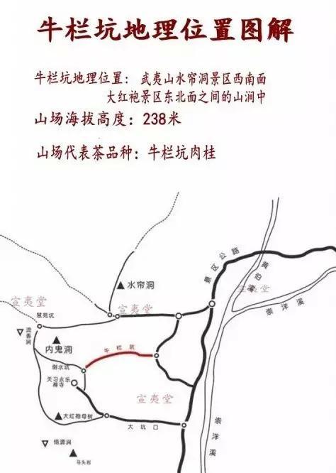 牛栏坑地处武夷岩茶核心产区,被誉为武夷岩茶核心村.