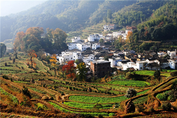 婺源有多少人口_婺源风景酒店介绍 费用 交通地图 住1晚婺源风景酒店 游玩婺(3)