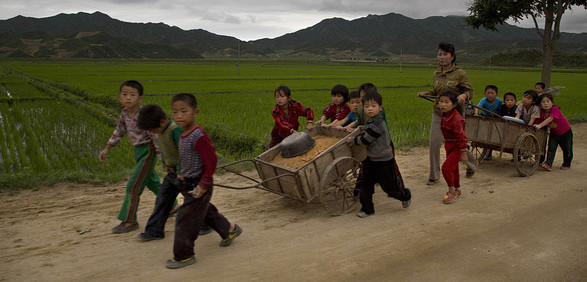 实拍:真实的朝鲜农村