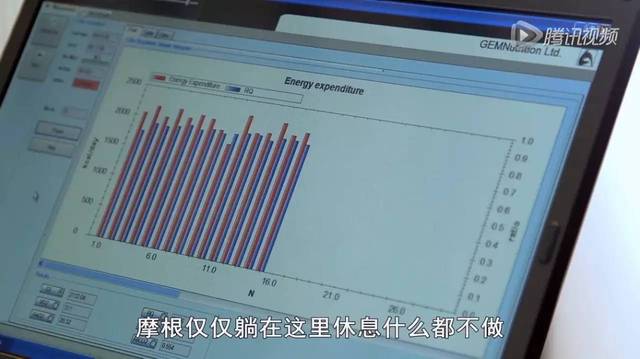 人口代谢率_基础代谢率对照表