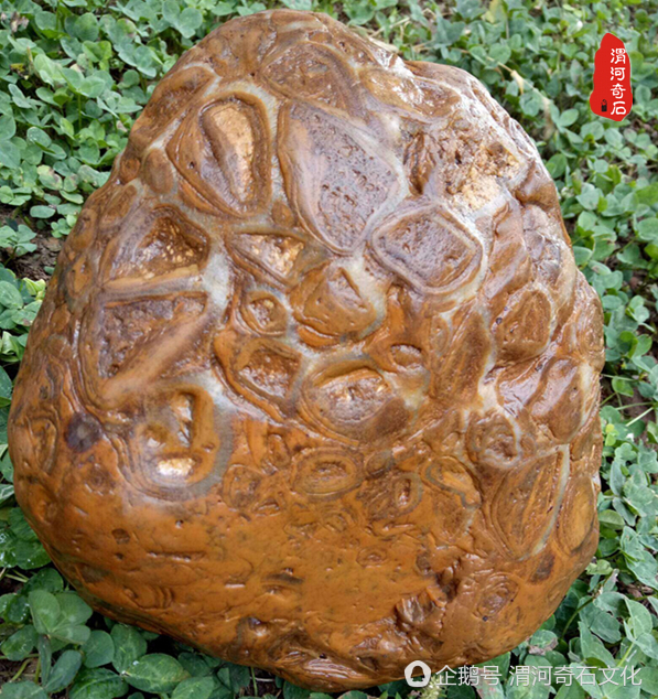 渭河奇石