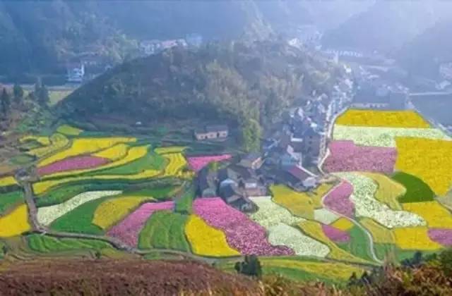 向往花开满地的景象,就到塔山神仙洞,七彩油菜花为你而开