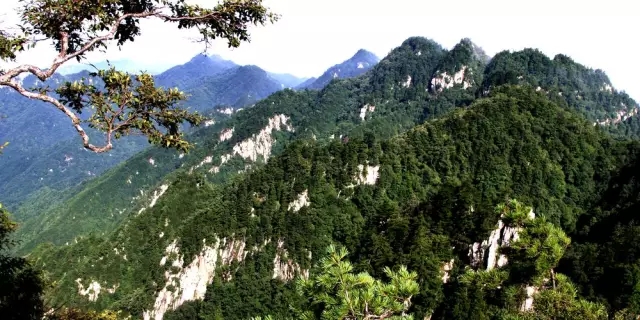 no.8 卢氏玉皇山—2057.9米