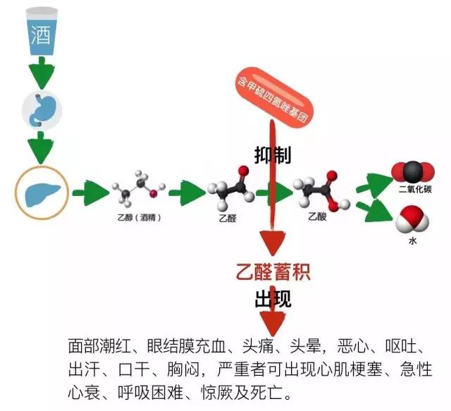 会引起双硫仑样反应的药物