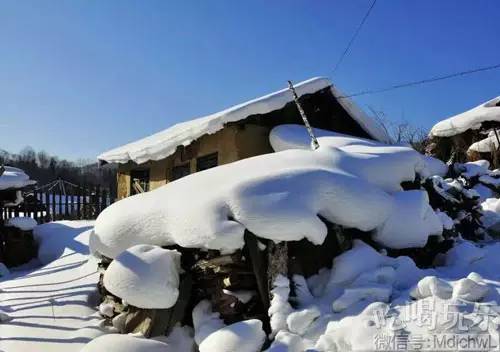 东北负责冷,【雪村】负责美!从来都不辜负雪的美,赴一