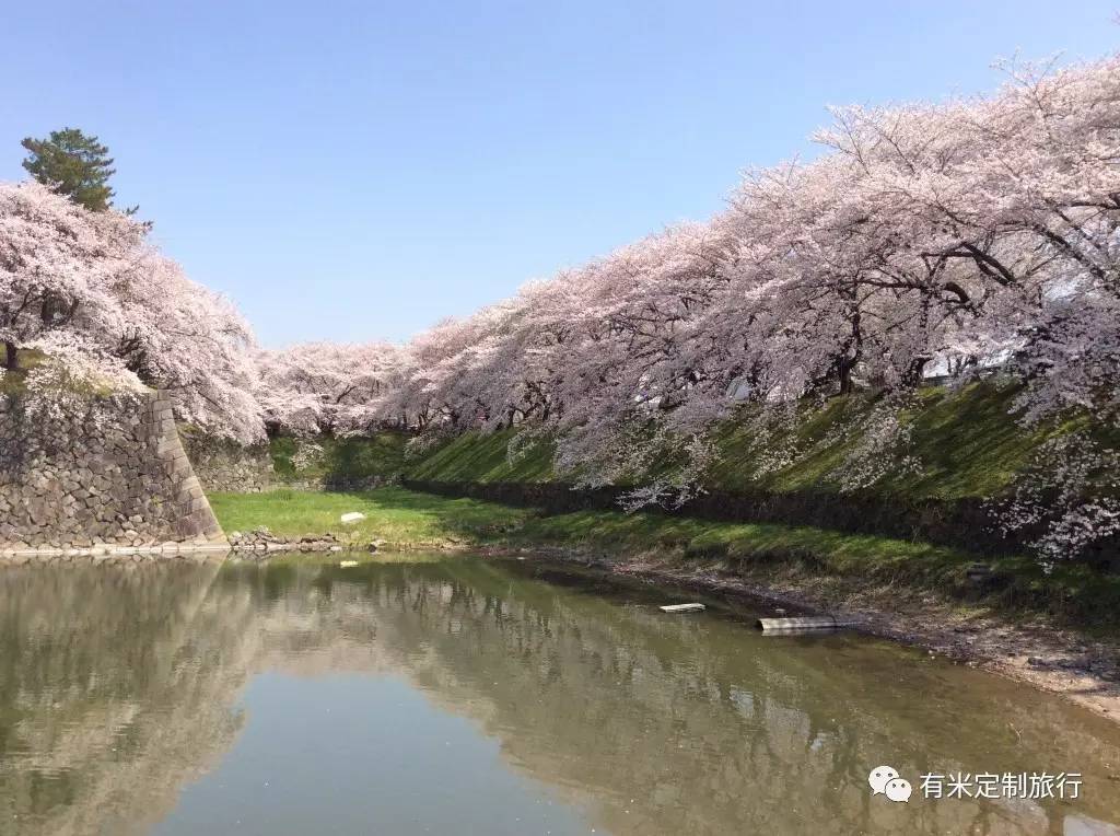 广岛最佳赏花时间预测:2017/4/4-4/11