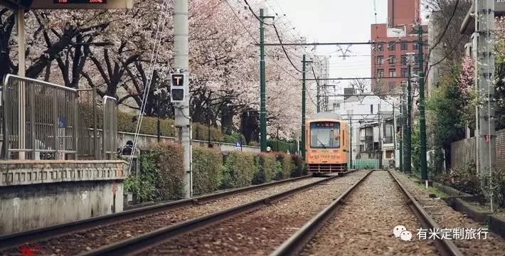 2017日本樱花季最新预测指南| 桜吹成雪,悸动的