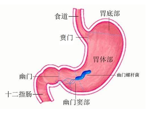 帮艾滋病人口_关于加强受艾滋病影响人员救助工作的通知(2)