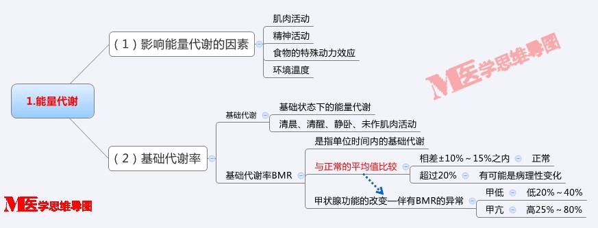 思维导图丨能量代谢