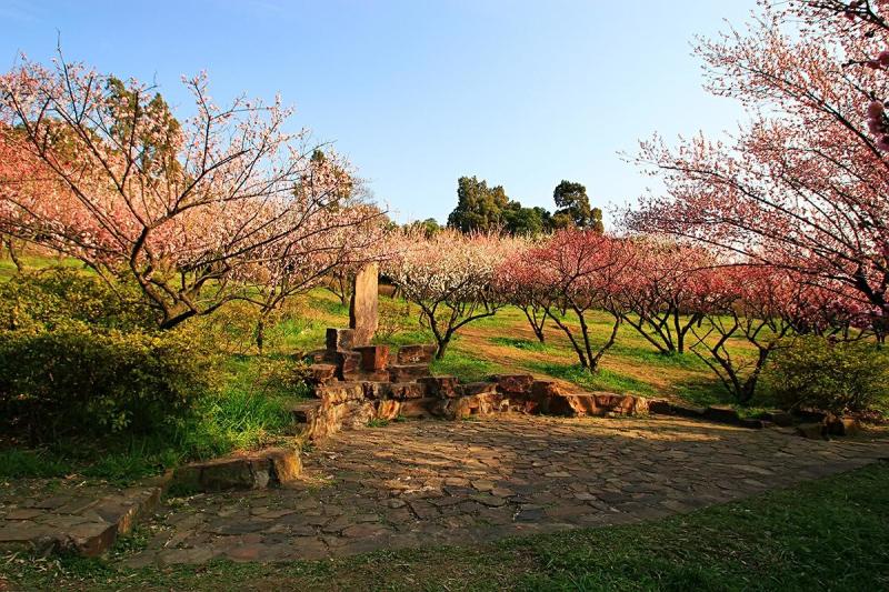 无锡梅园原来东莞市桥头镇为丰富地方旅游文化元素,推陈出新,于去年9