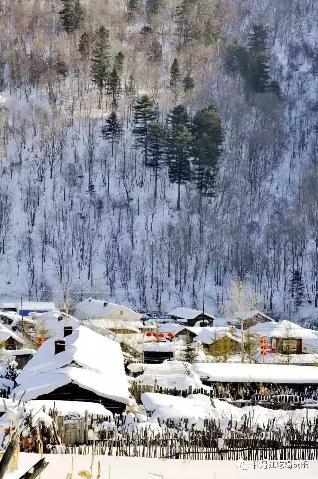 东北负责冷,【雪村】负责美!从来都不辜负雪的美,赴一