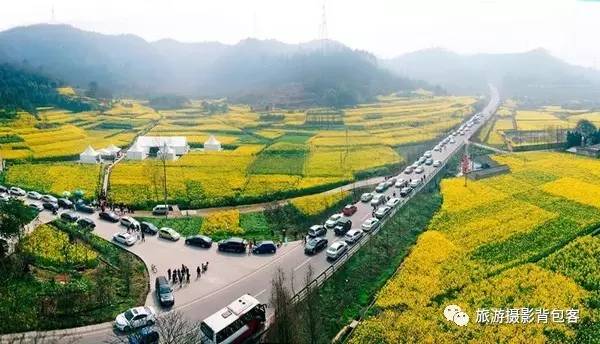 花节时间:三月初(持续一个月)   花节门票:未知      崇州市重庆路