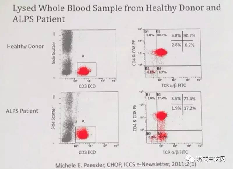 CD4\/CD8双阴性T细胞,你可以开发的处女地