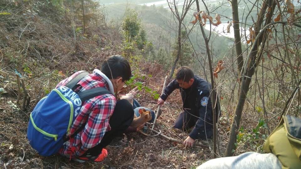 老人称,今天天气晴好,他带俩孙儿上山游玩,在这里发现了被铁夹子夹住