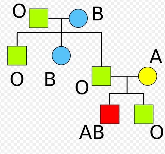 准爸妈注意,这些父母与宝宝的血型关系,要先知道