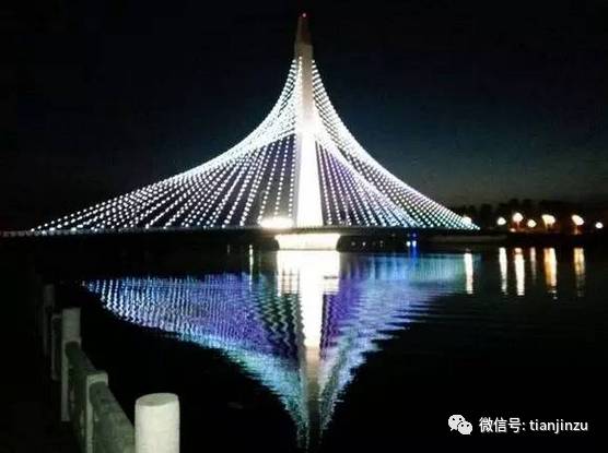 宁河:光明桥夜景很美丽