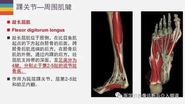 0322白条交流今天看到能开白条闪付了不过暂时不