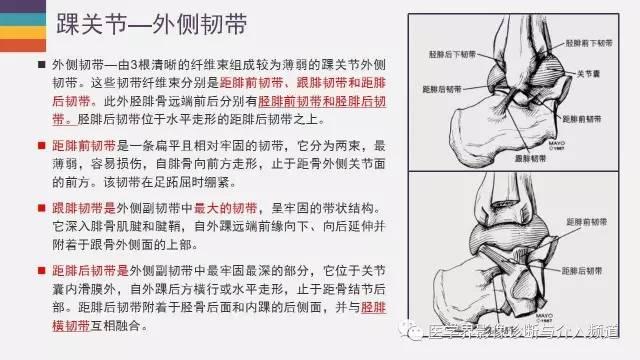 0322白条交流今天看到能开白条闪付了不过暂时不