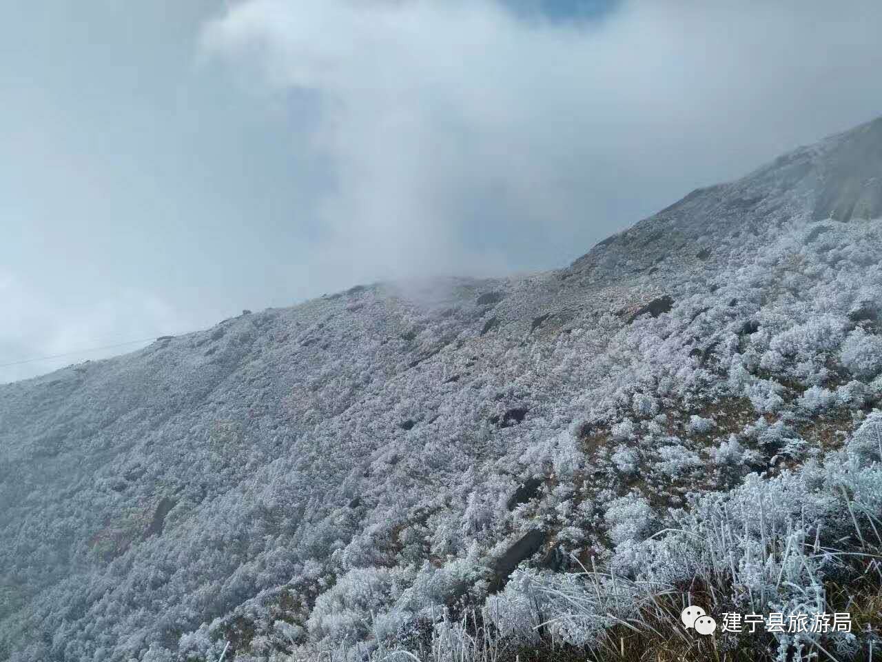 建宁金铙山迎来今春第一场雾凇美景!