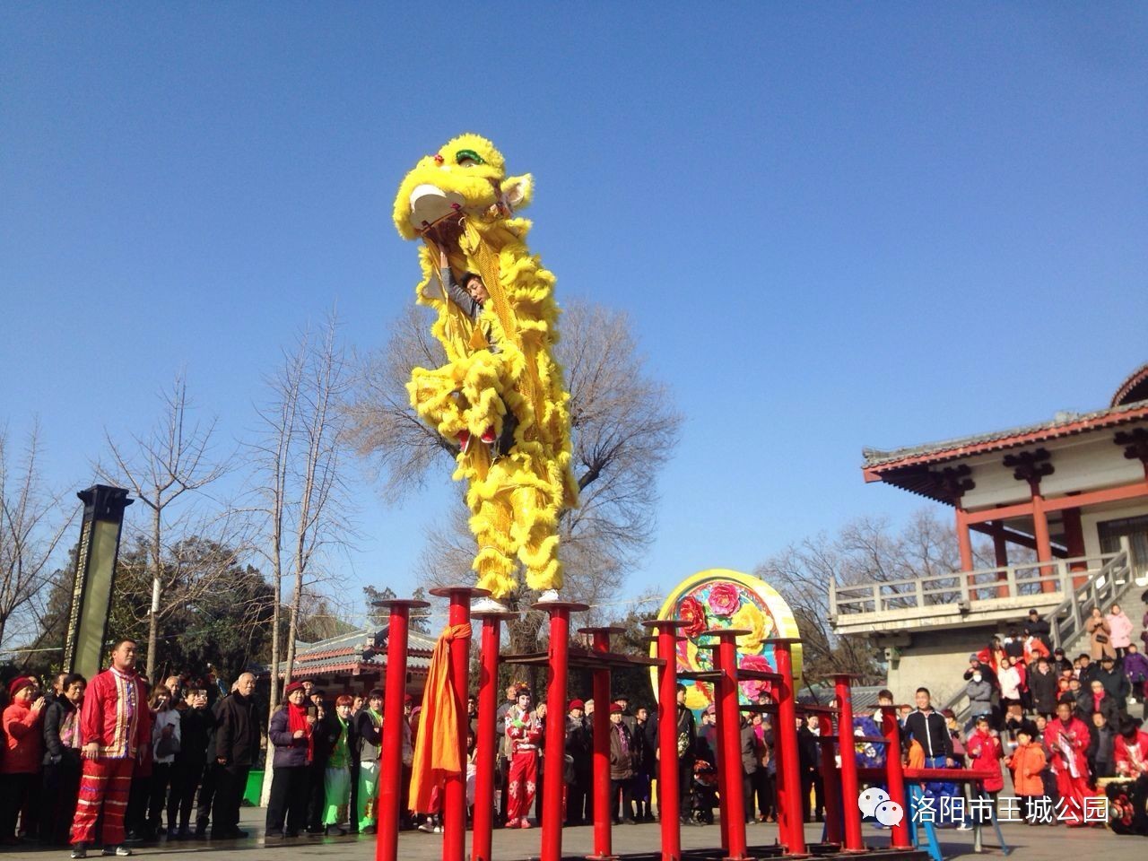 其它 正文 梅花桩舞狮是从武术中的梅花桩中演变而来的, 表演者在高低