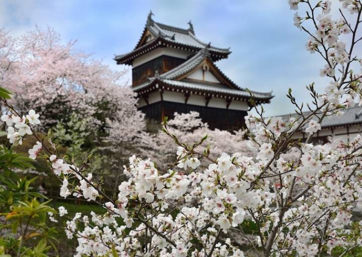 2.奈良,郡山城迹