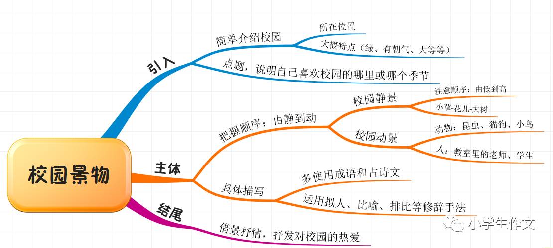 船长这一课的思维导图怎么画